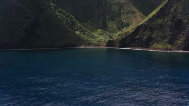 ハワイのモロカイ2018年頃 モロカイのプウカ国の滝の空中写真 CineflexとRed Epic Heliumで撮影 — ストック動画