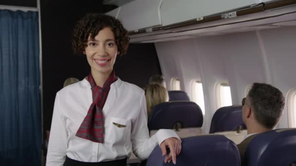 航空会社乗務員の肖像 — ストック動画