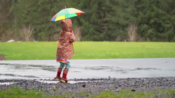 雨の中で演奏傘を持つ若い女の子 スローモーション で撮影ファントムフレックス4K — ストック動画