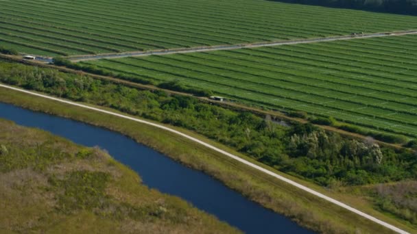 Luchtfoto Van Landbouw Kanaal Florida — Stockvideo