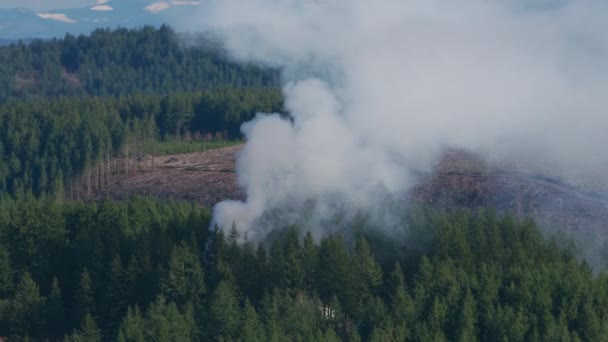 俄勒冈州 2018年左右 从空中俯瞰森林大火产生的烟雾 直升机用Cineflex Gimbal和Red Epic W相机拍摄 — 图库视频影像