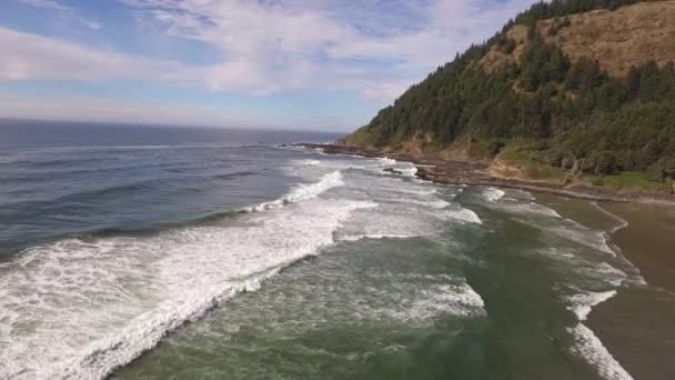 Oregon Sahilinin Hava Görüntüsü Seal Rock — Stok video