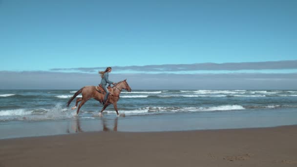 Super Zeitlupe Einer Reiterin Strand Von Oregon Aufgenommen Auf Phantom — Stockvideo