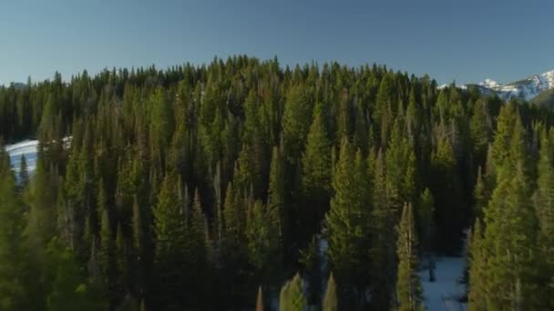 Национальный Парк Йеллоустон Вайоминг Вид Воздуха Йеллоустонский Национальный Парк Съемка — стоковое видео