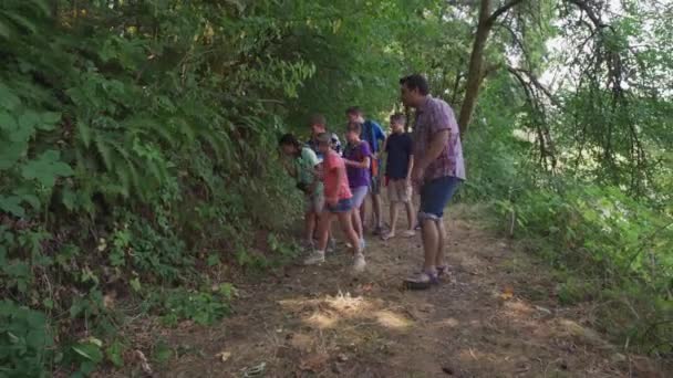 Kinderen Zomerkamp Een Natuurwandeling — Stockvideo