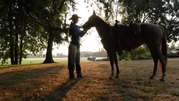 Γυναίκα Στέκεται Άλογο Ξημέρωμα — Αρχείο Βίντεο
