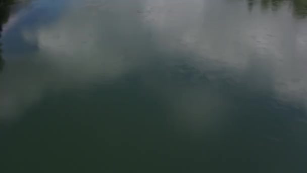 Newberg Oregon Około 2018 Roku Widok Powietrza Rzekę Willamette — Wideo stockowe