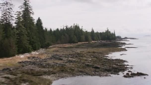 Alaska Circa 2018 Survoler Les Bras Mer Les Îles Long — Video