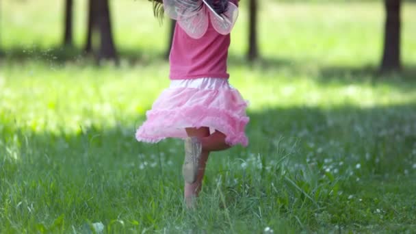 妖精の王女の衣装の女の子は ファントムフレックス4Kで撮影 タンポポを保持スピン — ストック動画