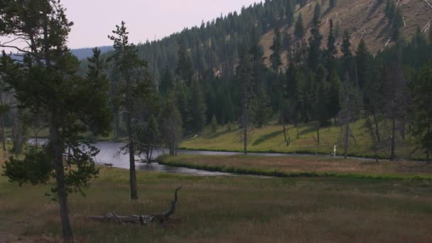 Yellowstone National Park Imagens Aéreas Natureza Eua — Vídeo de Stock