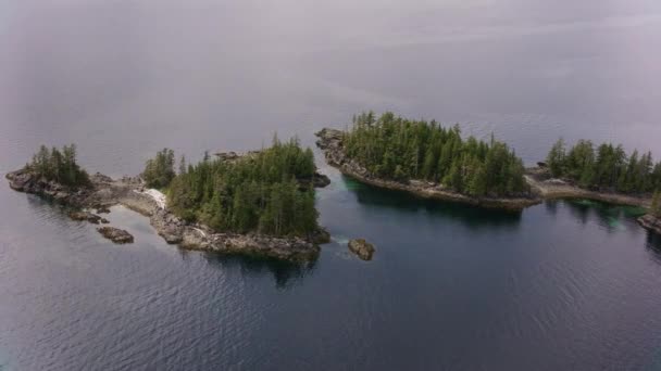 Alaska Circa 2018 Flying Inlets Islands Alaska Coast Shot Helicopter — Stock Video