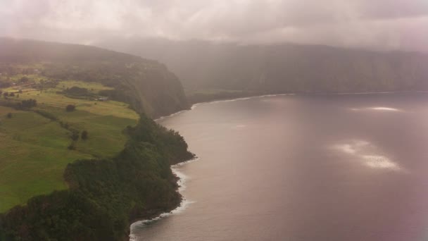 Big Island Hawaii Circa 2018 Vista Aérea Acantilados Marinos Cielos — Vídeo de stock