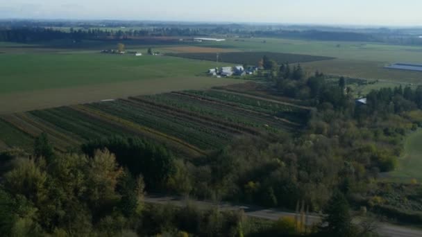 Luftvideo Von Oregon Farmland Ultra — Stockvideo