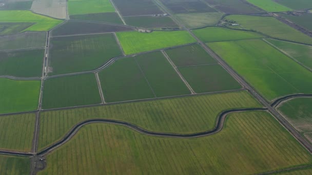 Luchtfoto Van Landbouwgrond Noord Californië — Stockvideo