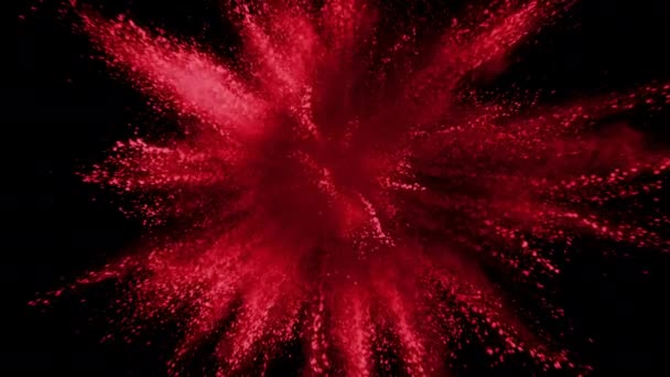 Rood Poeder Explodeert Zwarte Achtergrond Super Slow Motion Geschoten Met — Stockvideo