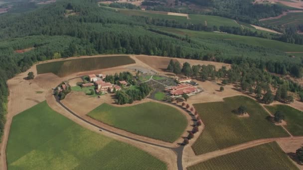 2018年頃 オレゴン州ダンディー ヒルズ オレゴン州のワインカントリーの空中風景 — ストック動画