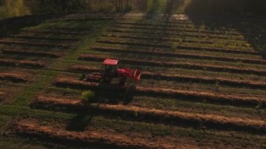 Tarlada sıra sıra ilerleyen traktörün hava görüntüsü