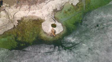 Yellowstone Ulusal Parkı, Wyoming. Yellowstone Ulusal Parkı 'nın havadan görünüşü. Helikopterden Shotover gimbal ve RED 8K kamera ile çekildi..