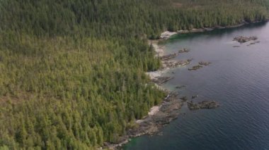 Alaska - yaklaşık 2018: Alaska kıyıları boyunca körfez ve adaların üzerinde uçmak. Helikopterden Cineflex gimbal ve RED Epic-W kamerasıyla çekildi..