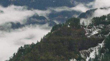 Kışın sislerin ve ağaçların havadan görünüşü, Columbia Nehri Boğazı, Oregon