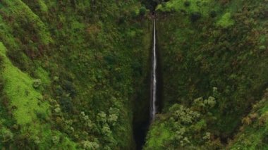 Maui, Hawaii 2018 dolaylarında. Maui 'deki Honokohau Şelalesi' nin havadan görüntüsü. Cineflex ve RED Epic-W Helyum ile çekilmiştir..