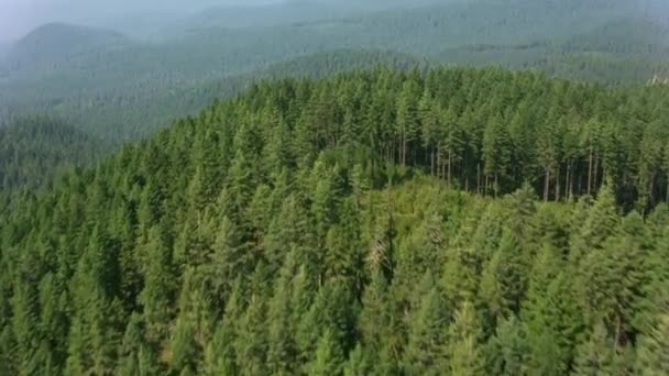 Oregon Circa 2017 Colpo Aereo Foresta Nella Catena Montuosa Della — Video Stock