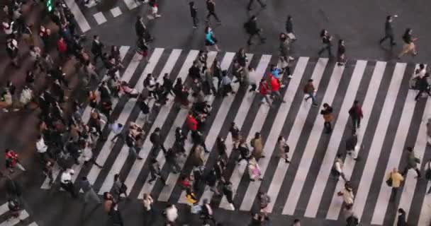 Τόκιο Ιαπωνία Περίπου 2018 Πλήθη Ανθρώπων Που Περπατούν Κατά Μήκος — Αρχείο Βίντεο