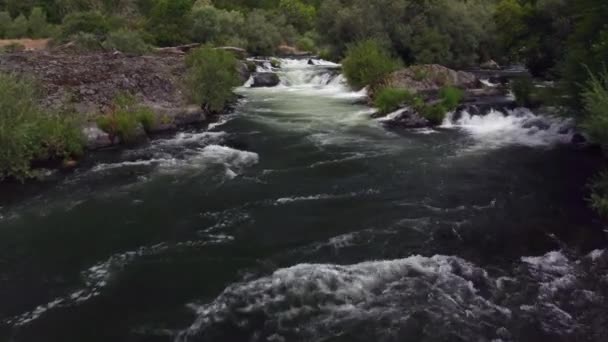 Luchtopname Van Stroomversnellingen Rouge River Oregon Verenigde Staten — Stockvideo