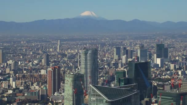 Tokyo Japonya 2018 Dolaylarında Tokyo Nun Üzerinde Uçuyor Fuji Kırmızı — Stok video
