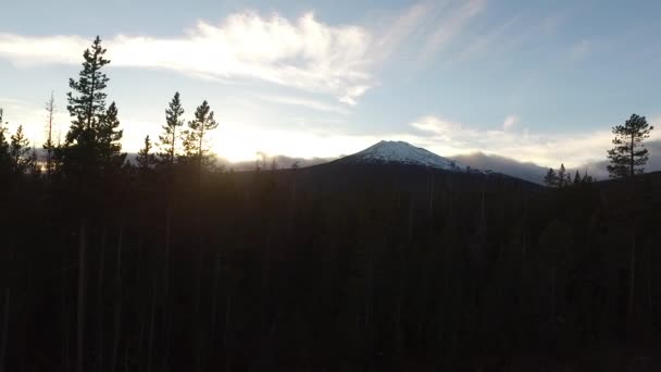 Flygfoto Över Oregon Skog Och Ungkarl Vid Solnedgången — Stockvideo