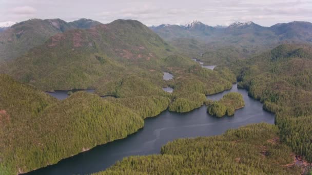 British Columbia Circa 2018 Letíme Nad Zálivy Jezery Podél Pobřeží — Stock video