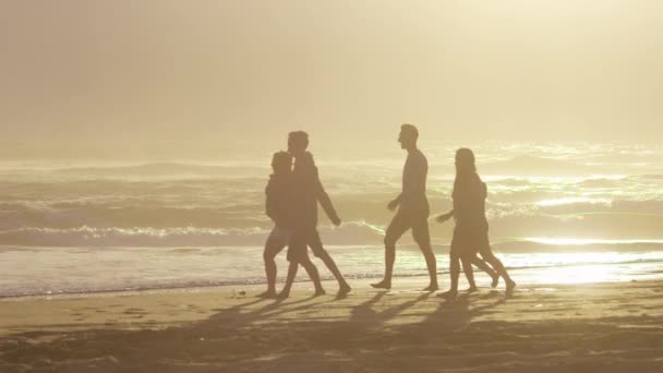 Vriendengroep Wandelen Langs Het Strand Bij Zonsondergang Slow Motion — Stockvideo