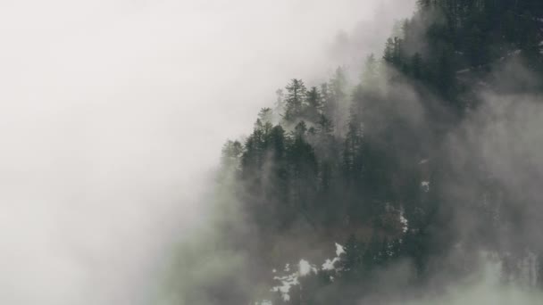 Vista Aérea Nevoeiro Árvores Inverno Columbia River Gorge Oregon — Vídeo de Stock