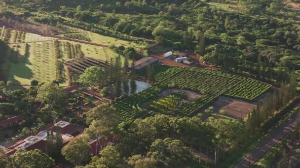Oahu Hawaii 2018 Luftaufnahme Der Dole Plantage Und Des Labyrinths — Stockvideo