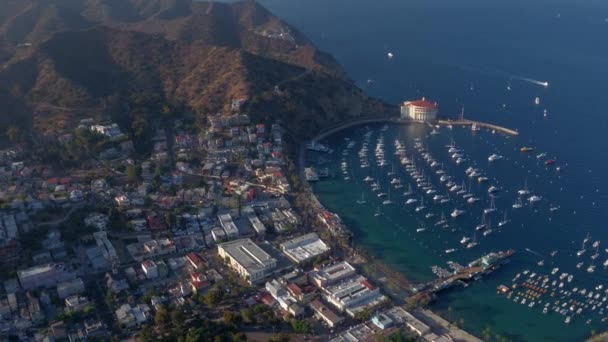 Flygfoto Avalon Och Hamn Catalina Island Kalifornien — Stockvideo
