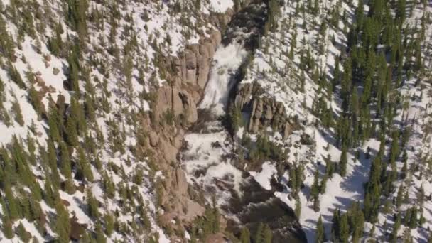 Yellowstone National Park Wyoming Luchtfoto Van Yellowstone National Park Schot — Stockvideo