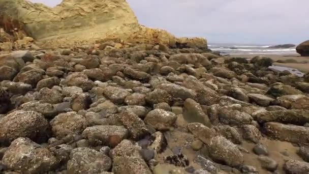 Formations Rocheuses Long Côte Oregon — Video