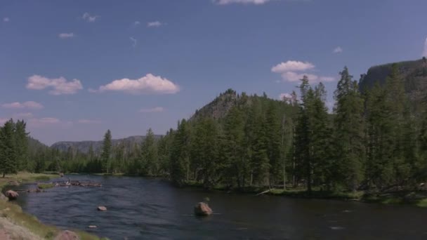 Fiume Madison Nel Parco Nazionale Yellowstone — Video Stock