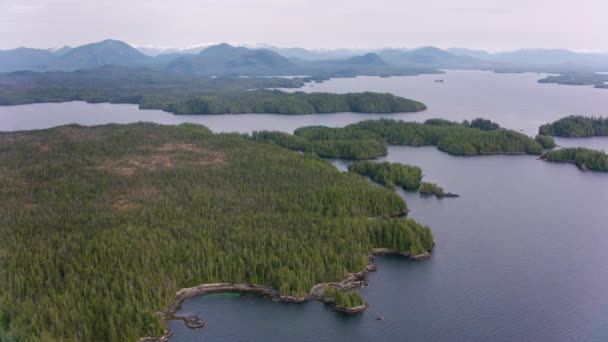 British Columbia Circa 2018 Letecký Pohled Les Jezera Snímek Vrtulníku — Stock video