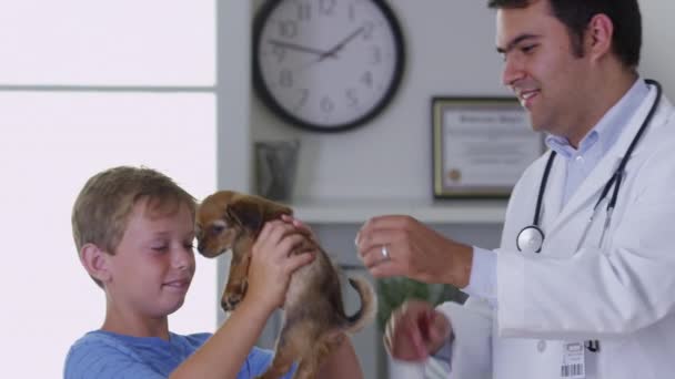 Κτηνίατρος Δόσιμο Στο Κουτάβι Ένα Τσεκ — Αρχείο Βίντεο