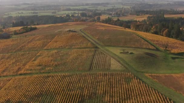 Aerial Shot Oregon Willamette Valley Wine Country Shot Cineflex Red — Stock Video
