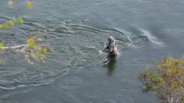 Homem Pesca Com Mosca Rio — Vídeo de Stock