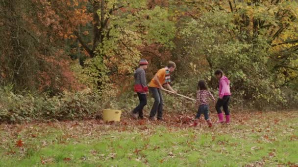 Grupa Dzieci Jesiennych Liściach Grabiących — Wideo stockowe