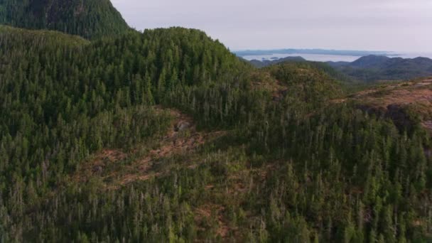 British Columbia Circa 2018 Letecký Pohled Les Jezera Snímek Vrtulníku — Stock video