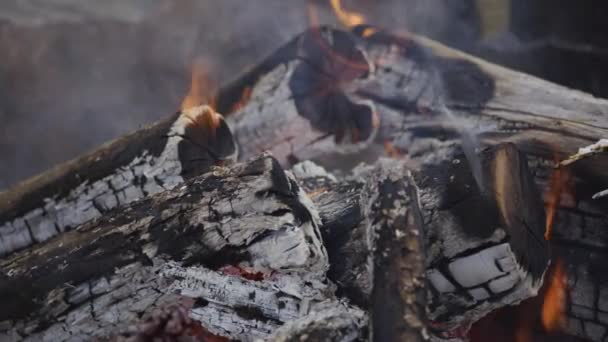 Großaufnahme Vom Lagerfeuer Sommerlager — Stockvideo