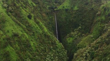Maui, Hawaii 2018 dolaylarında. Maui 'deki Honokohau Şelalesi' nin havadan görüntüsü. Cineflex ve RED Epic-W Helyum ile çekilmiştir..