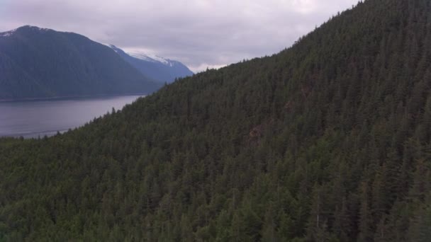 Juneau Alaska Circa 2018 Vista Aérea Del Bosque Bahía Cerca — Vídeos de Stock