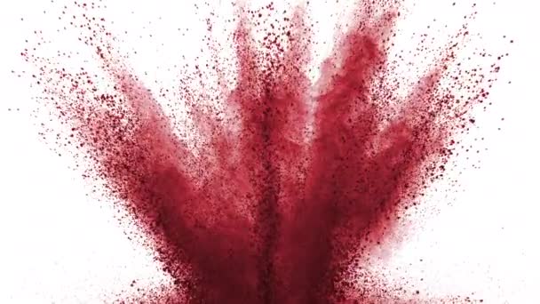 Polvere Rossa Che Esplode Sfondo Bianco Super Slow Motion Scattata — Video Stock