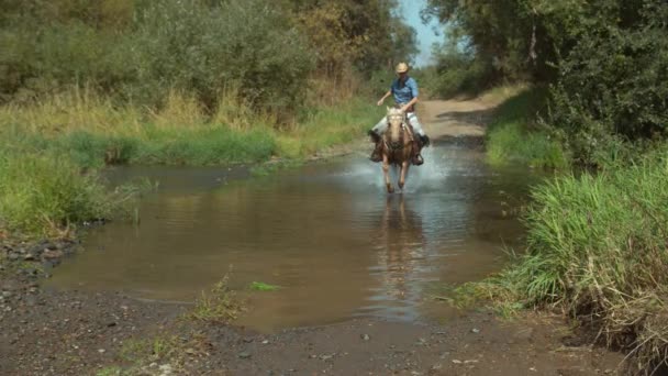 Γυναίκα Ιππασία Άλογο Μέσα Από Ρυάκι Αργή Κίνηση — Αρχείο Βίντεο
