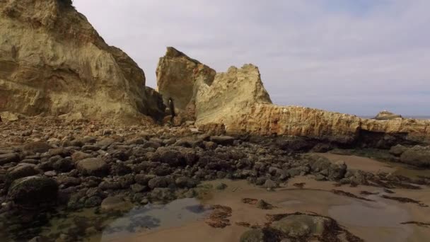Oregon Sahili Boyunca Kaya Oluşumları — Stok video